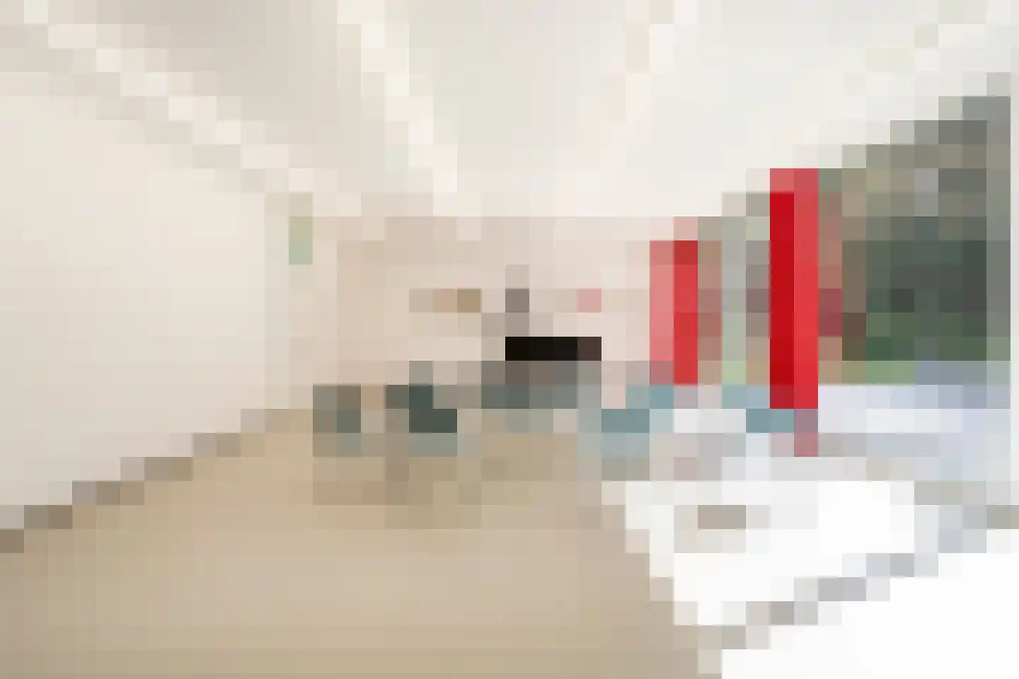 Lange Wijnen 9 Laren thumbnail 44