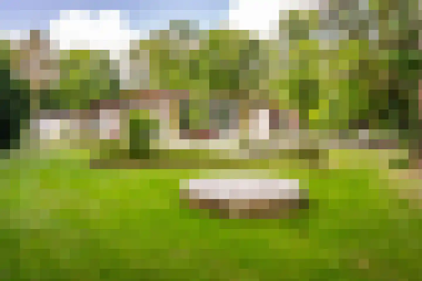 Lange Wijnen 9 Laren thumbnail 54