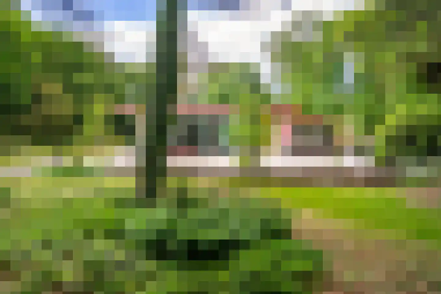 Lange Wijnen 9 Laren thumbnail 55