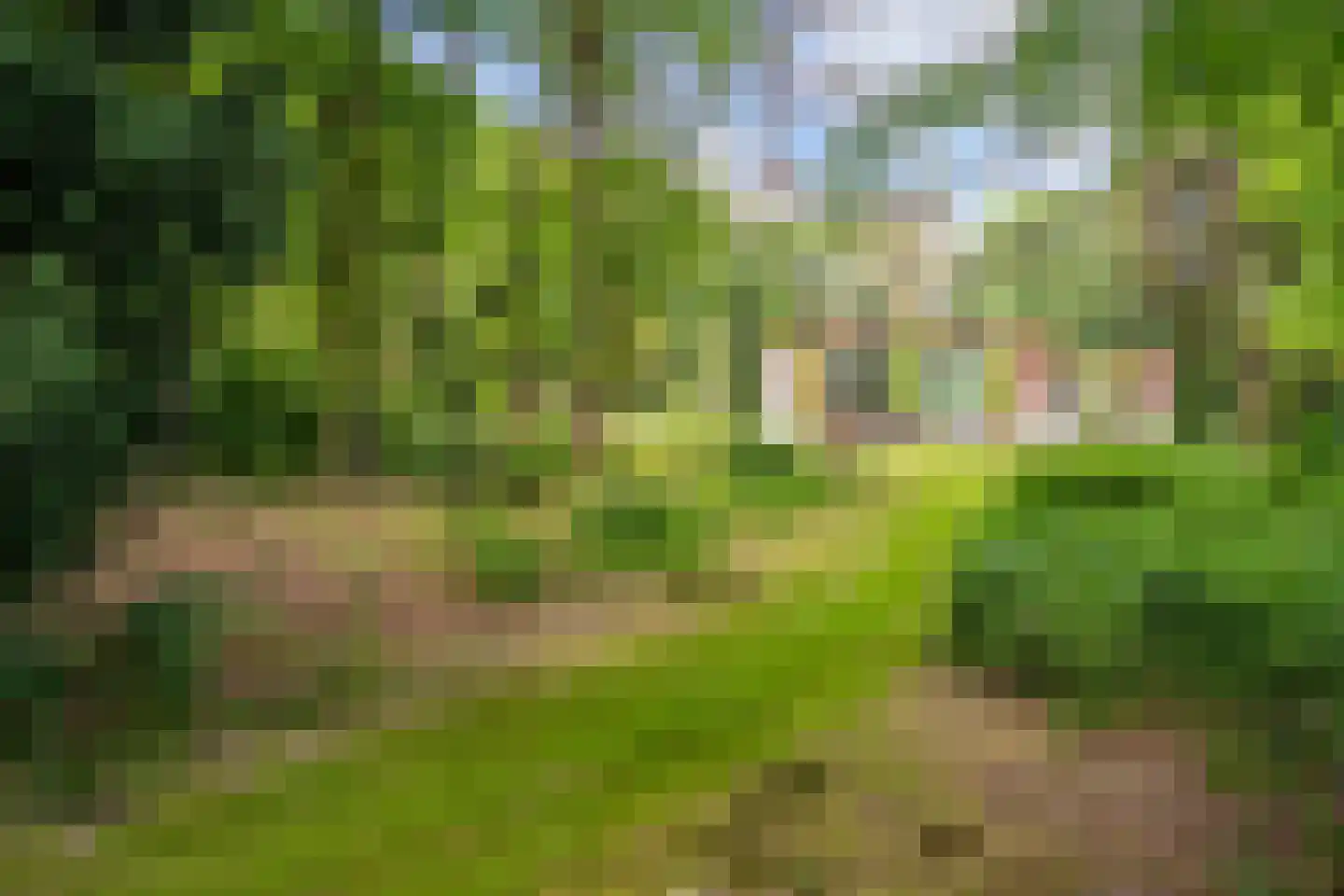 Lange Wijnen 9 Laren thumbnail 56