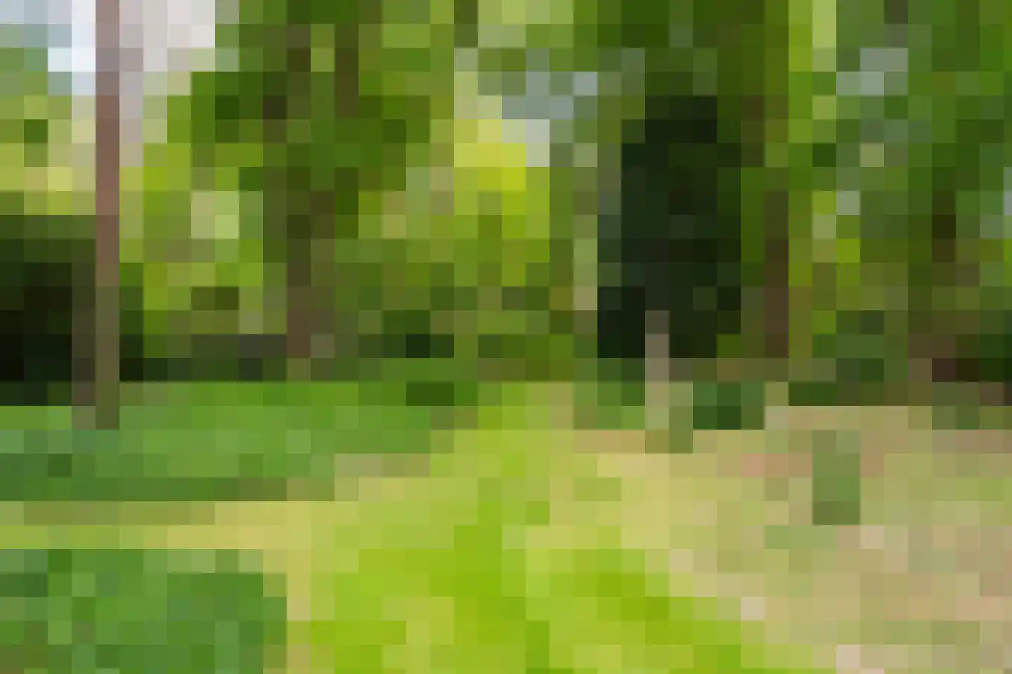 Lange Wijnen 9 Laren thumbnail 57