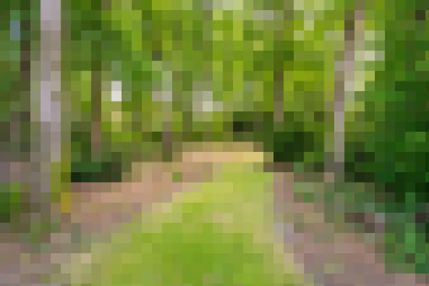 Lange Wijnen 9 Laren thumbnail 58