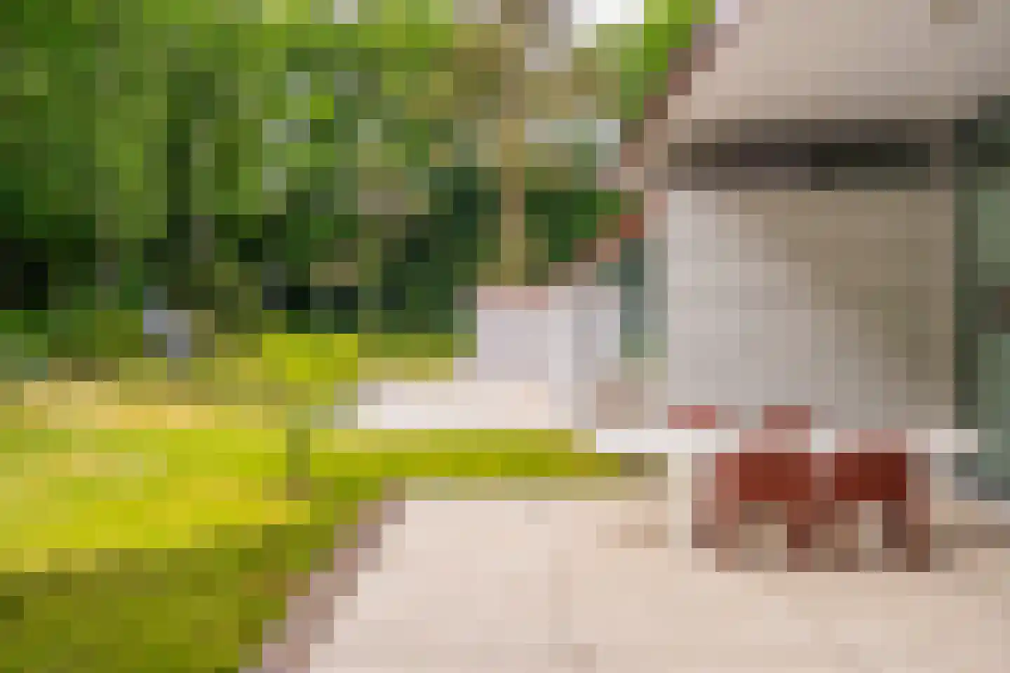 Lange Wijnen 9 Laren thumbnail 59