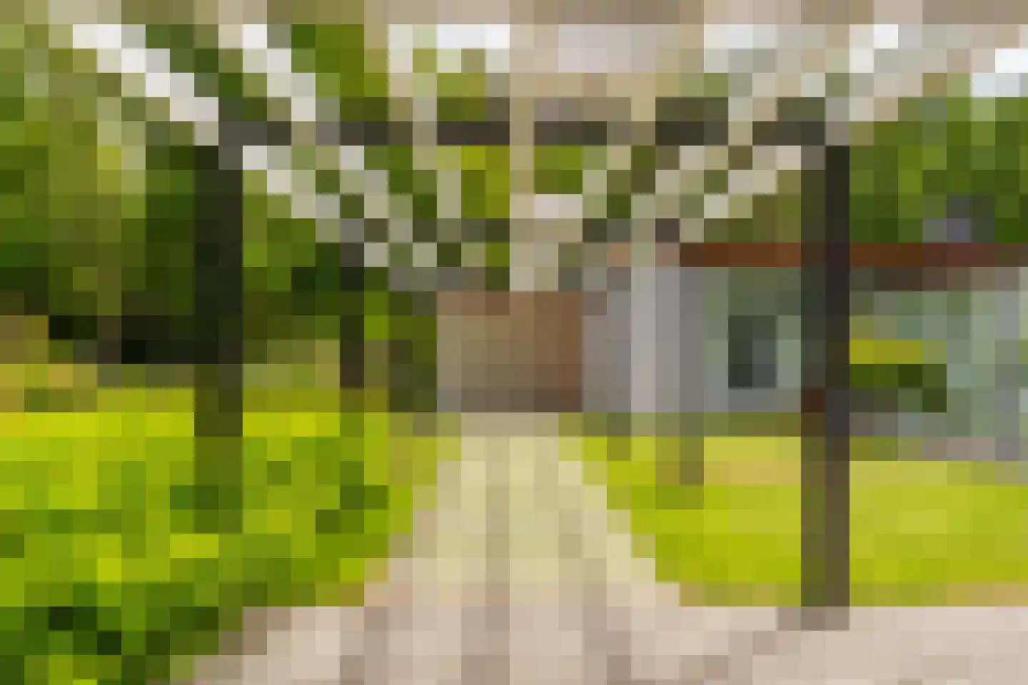 Lange Wijnen 9 Laren thumbnail 6