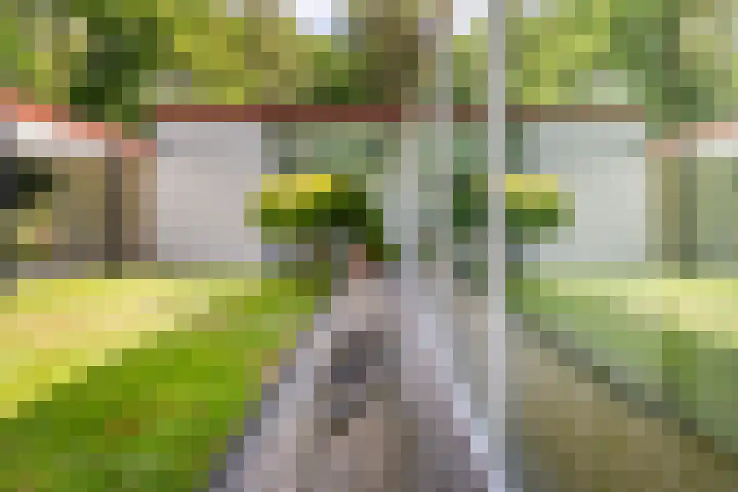 Lange Wijnen 9 Laren thumbnail 62