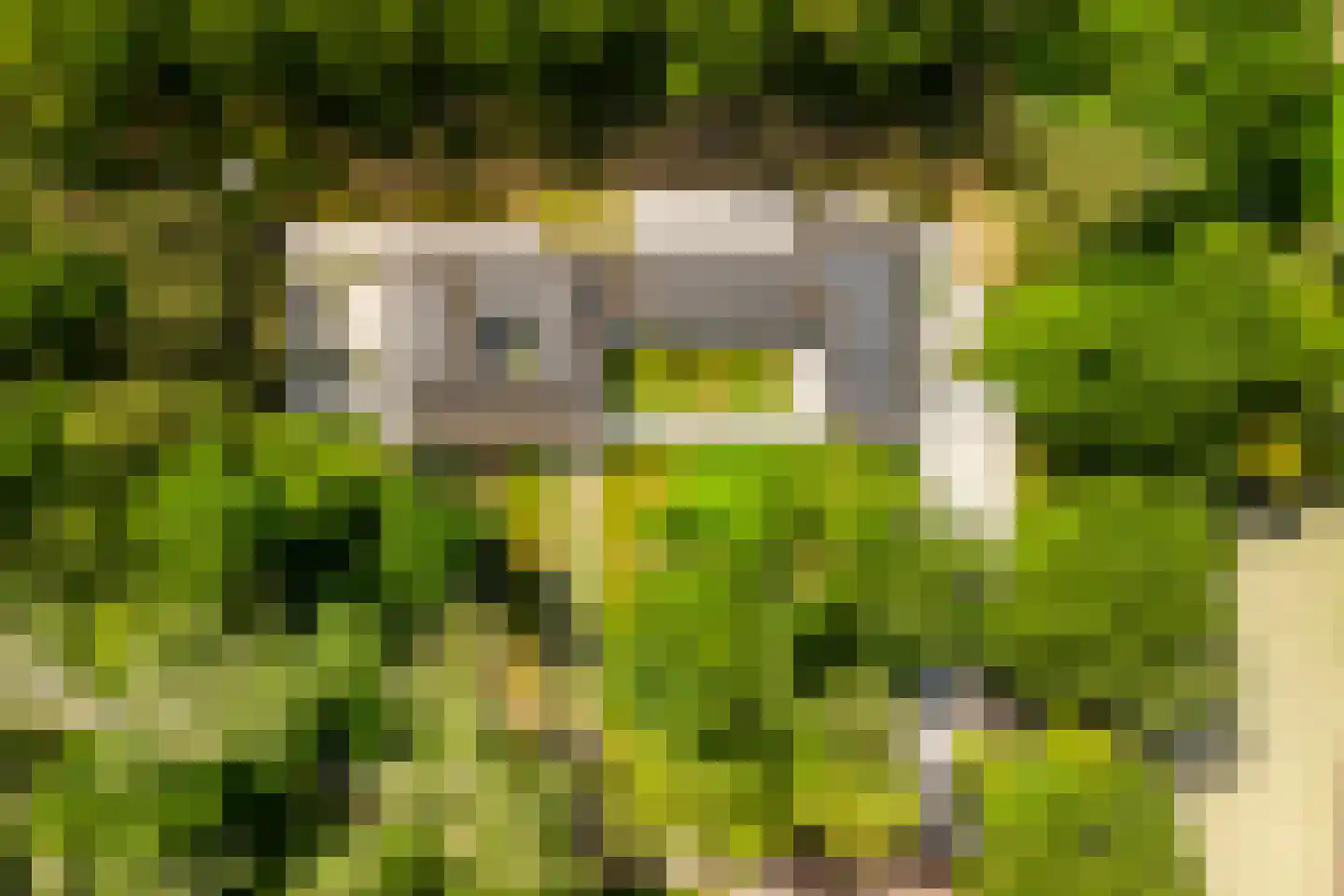 Lange Wijnen 9 Laren thumbnail 65