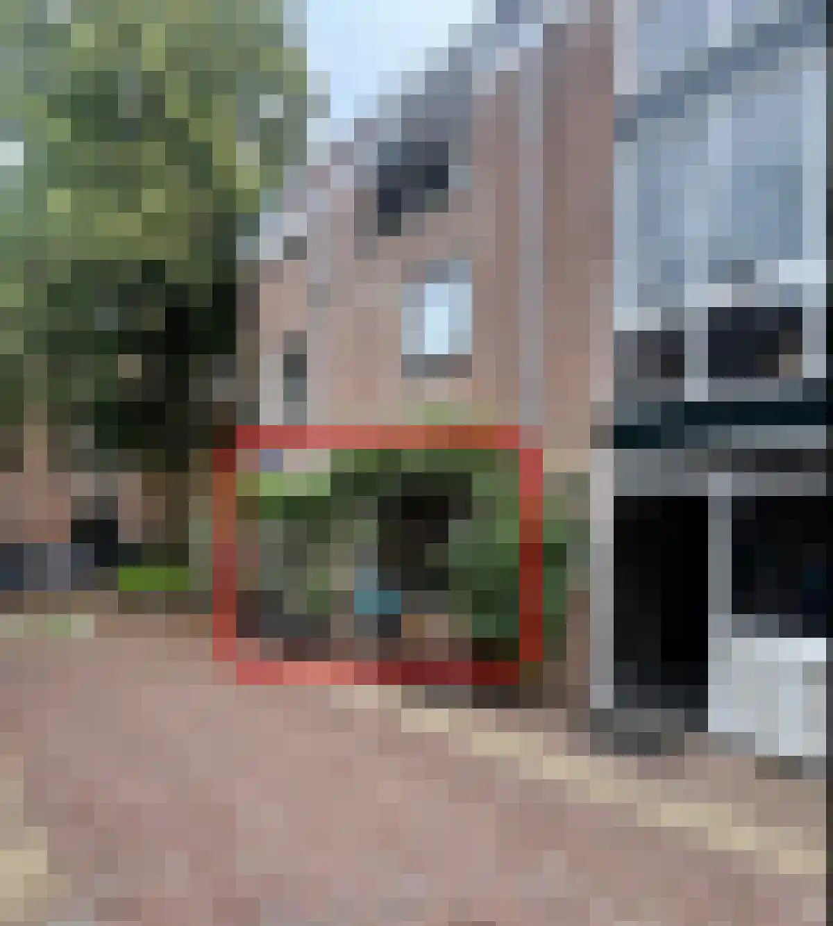 Lange Wijngaardstraat 1 Haarlem