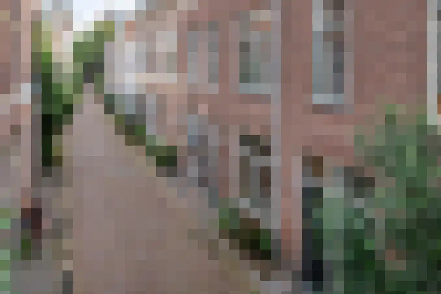 Lange Wijngaardstraat 25 ZW Haarlem thumbnail 17