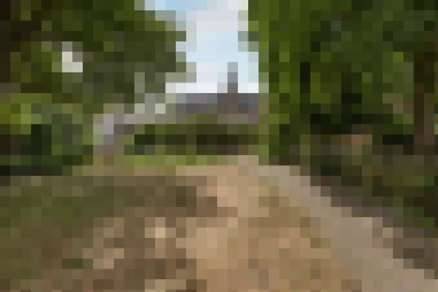 Lange Wijngaardstraat 3 B Haarlem thumbnail 34