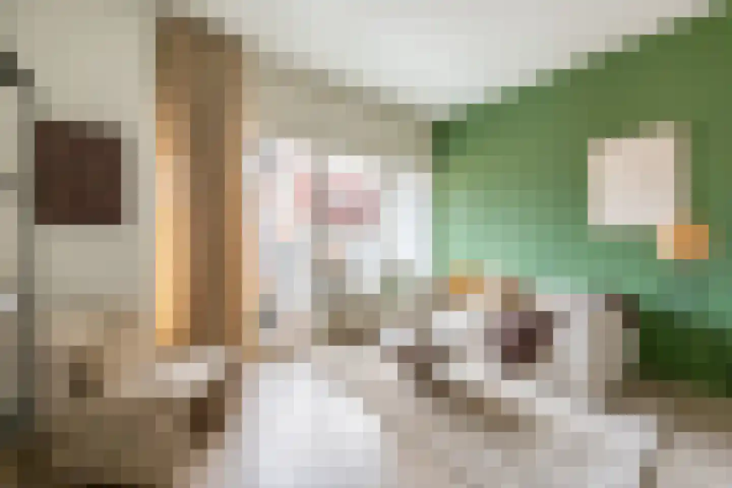 Lange Wijngaardstraat 3 B Haarlem thumbnail 4
