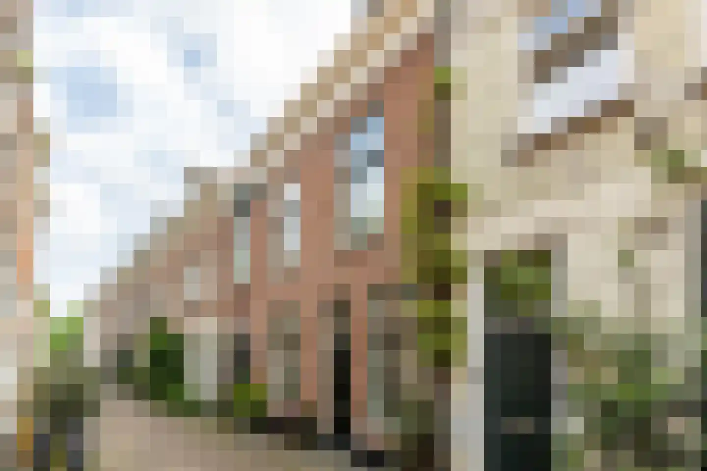 Lange Wijngaardstraat 33 Haarlem