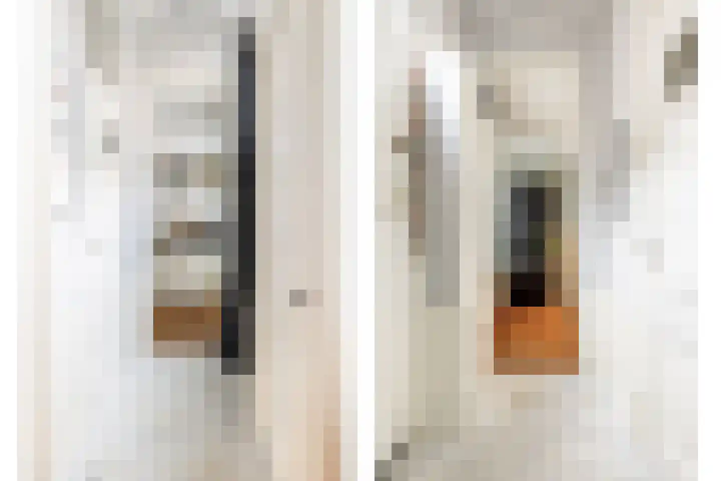 Lange Wijngaardstraat 33 Haarlem thumbnail 5