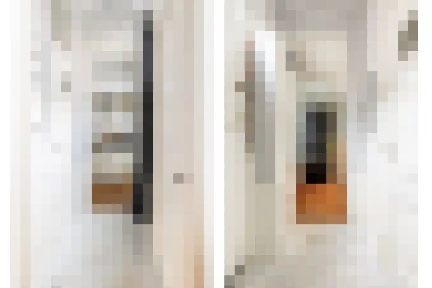 Lange Wijngaardstraat 33 Haarlem thumbnail 6