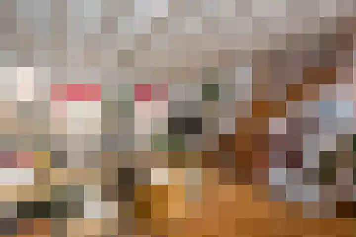 Lange Wijngaardstraat 5 Haarlem thumbnail 14