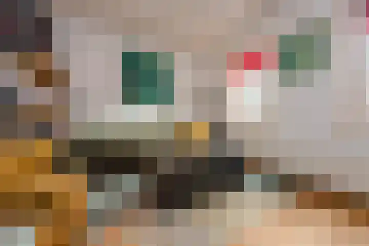 Lange Wijngaardstraat 5 Haarlem thumbnail 16