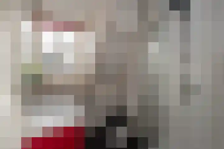 Lange Wijngaardstraat 5 Haarlem thumbnail 5