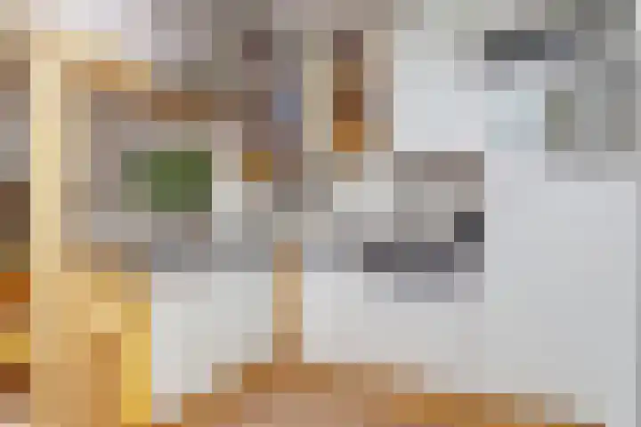 Lange Willemsteeg 9 Gouda thumbnail 13