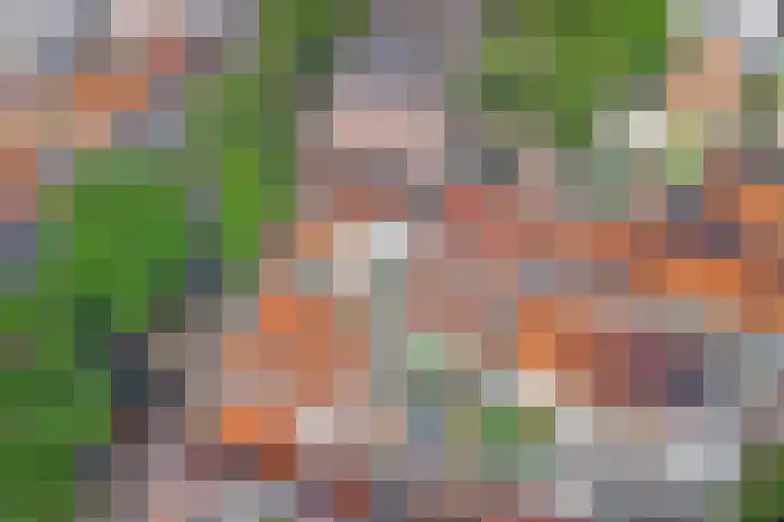 Lange Willemsteeg 9 Gouda thumbnail 36