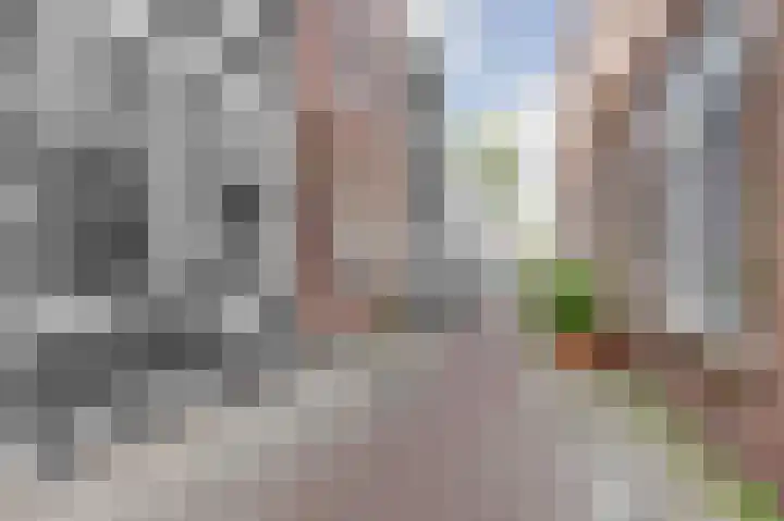Lange Willemsteeg 9 Gouda thumbnail 41