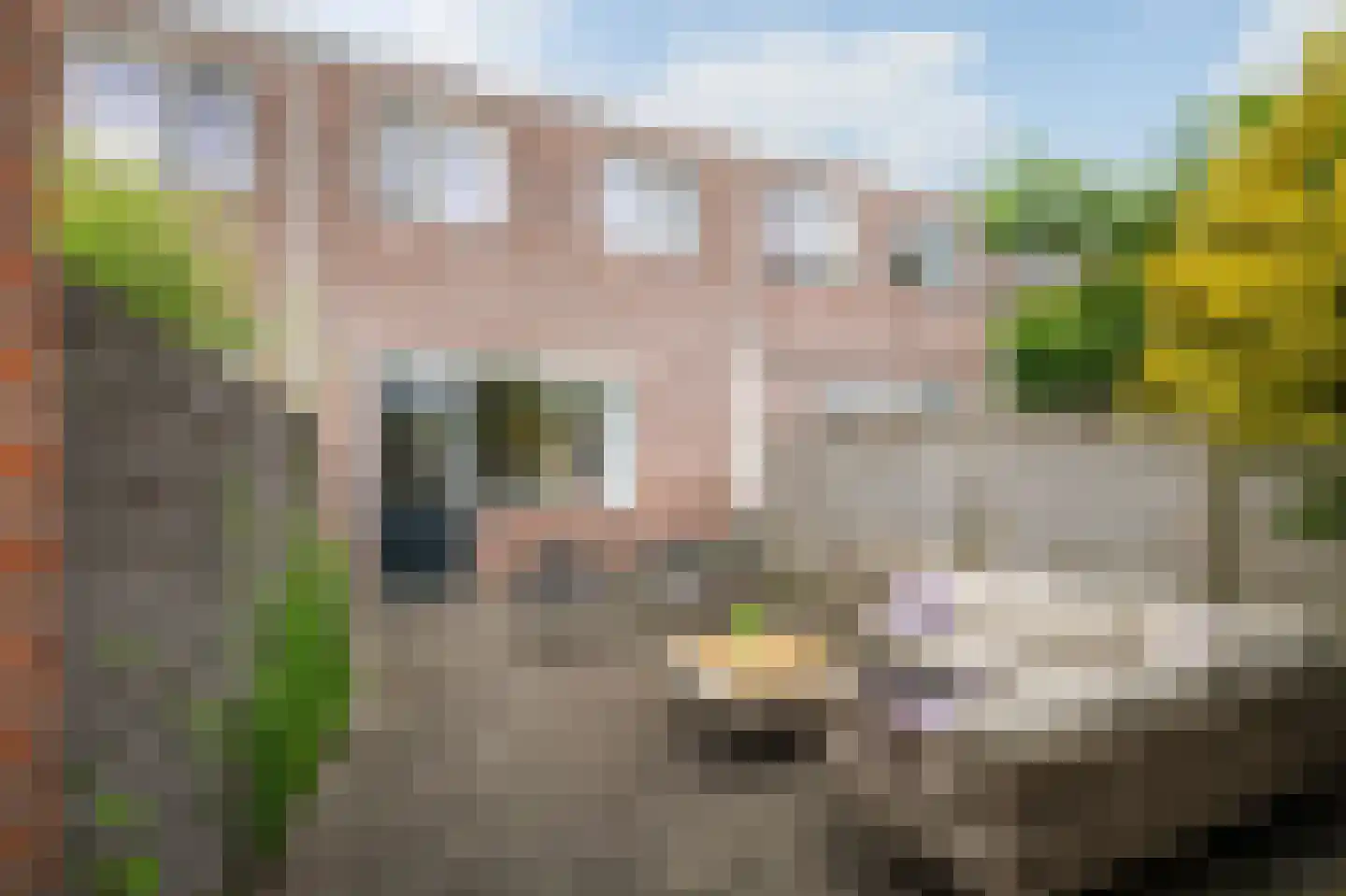 Lange Zandstraat 53 Deventer thumbnail 20