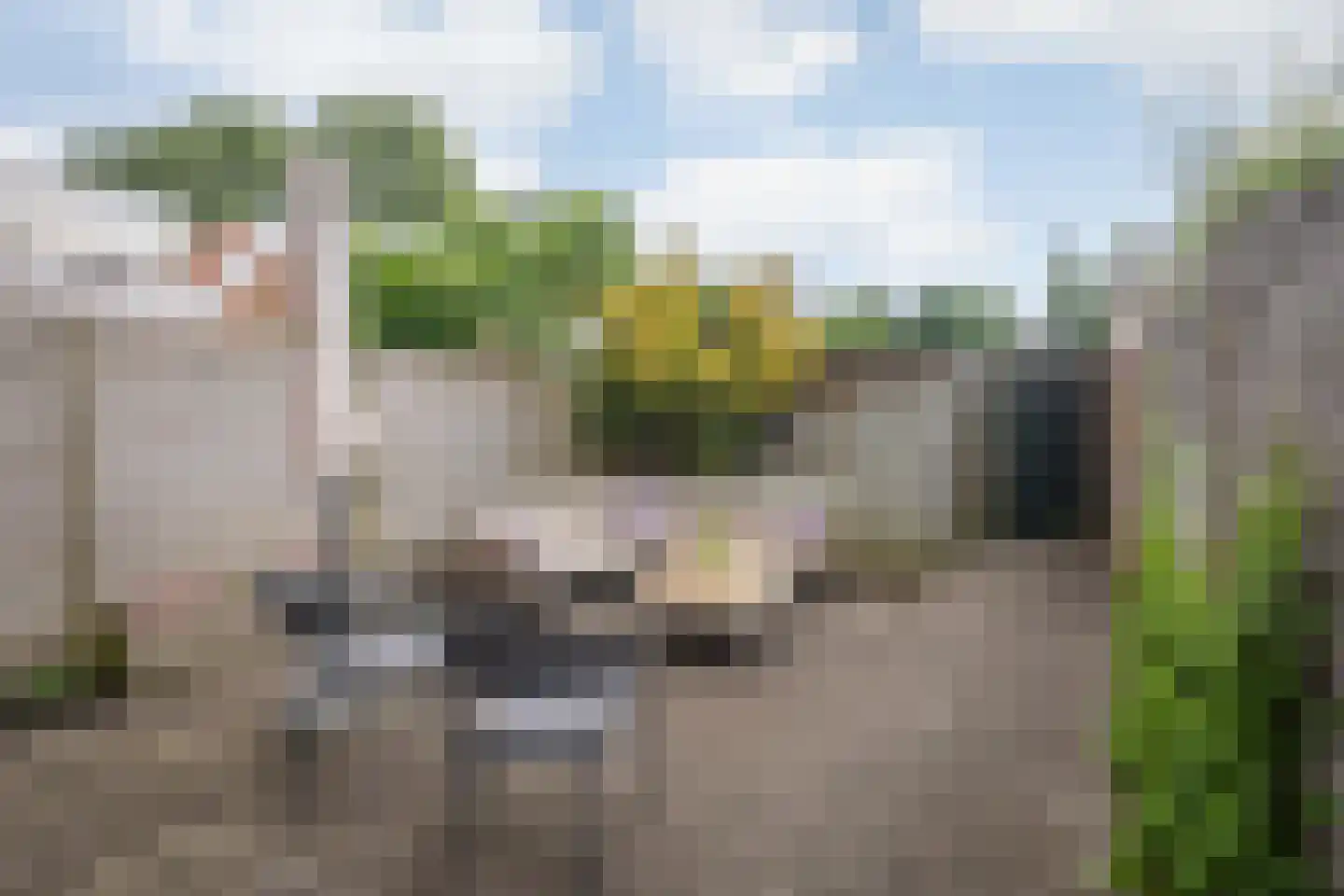 Lange Zandstraat 53 Deventer thumbnail 21