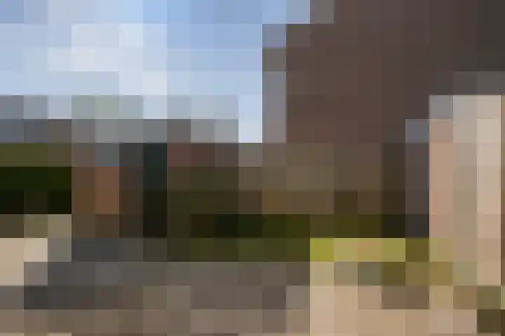 Lange Zantelweg 18 Poortugaal thumbnail 12