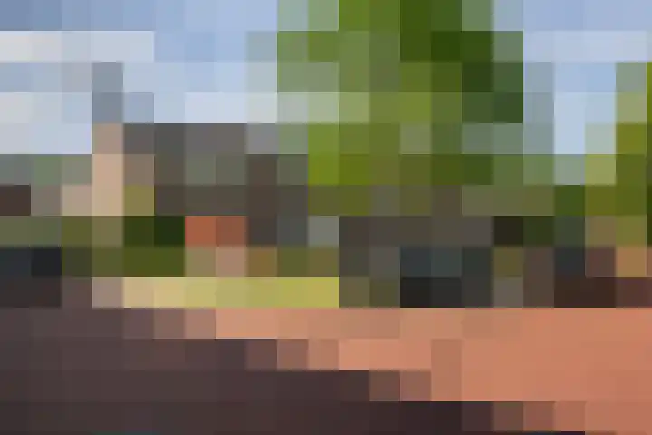 Lange Zantelweg 18 Poortugaal thumbnail 31