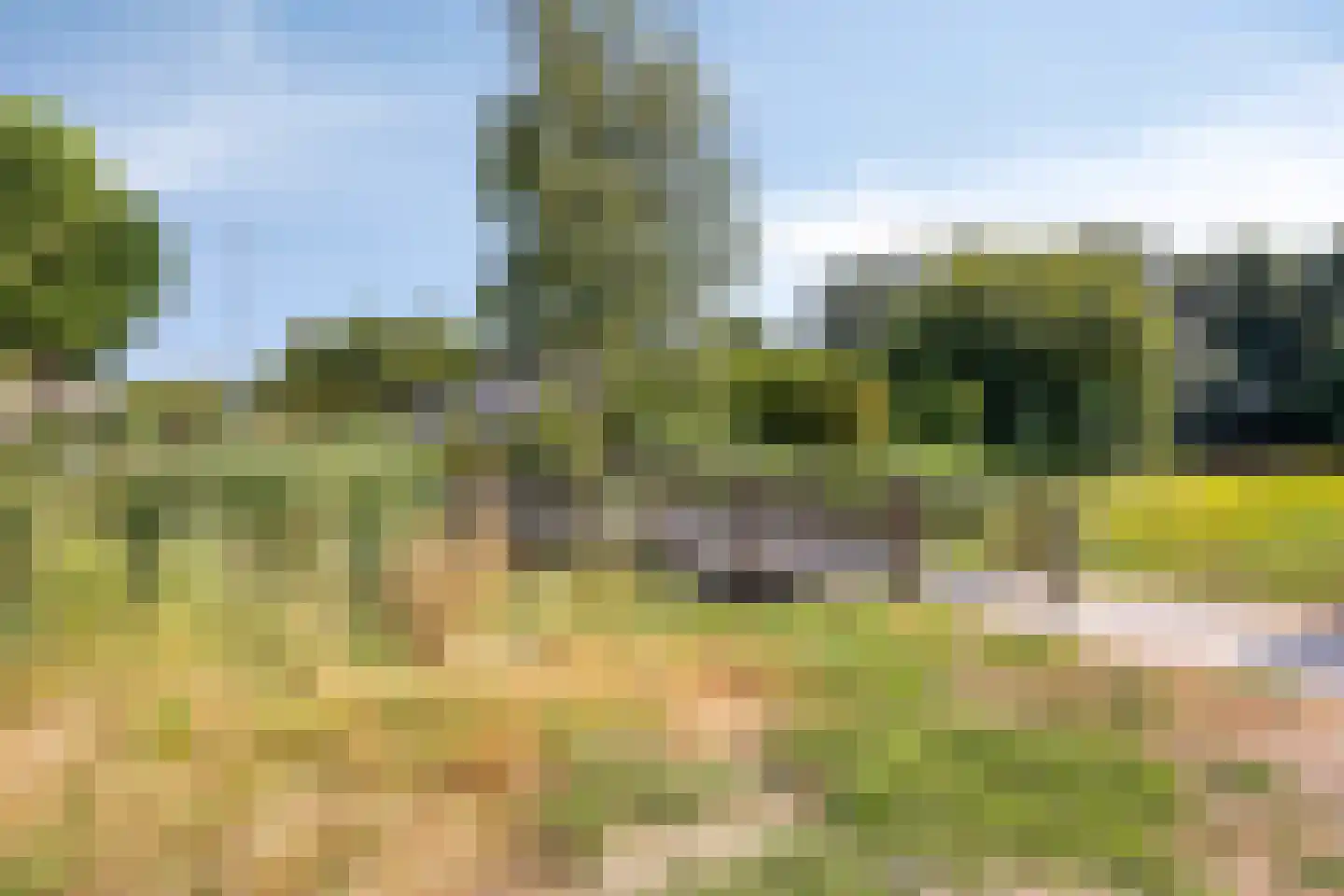 Lange Zantelweg 39 Poortugaal thumbnail 39