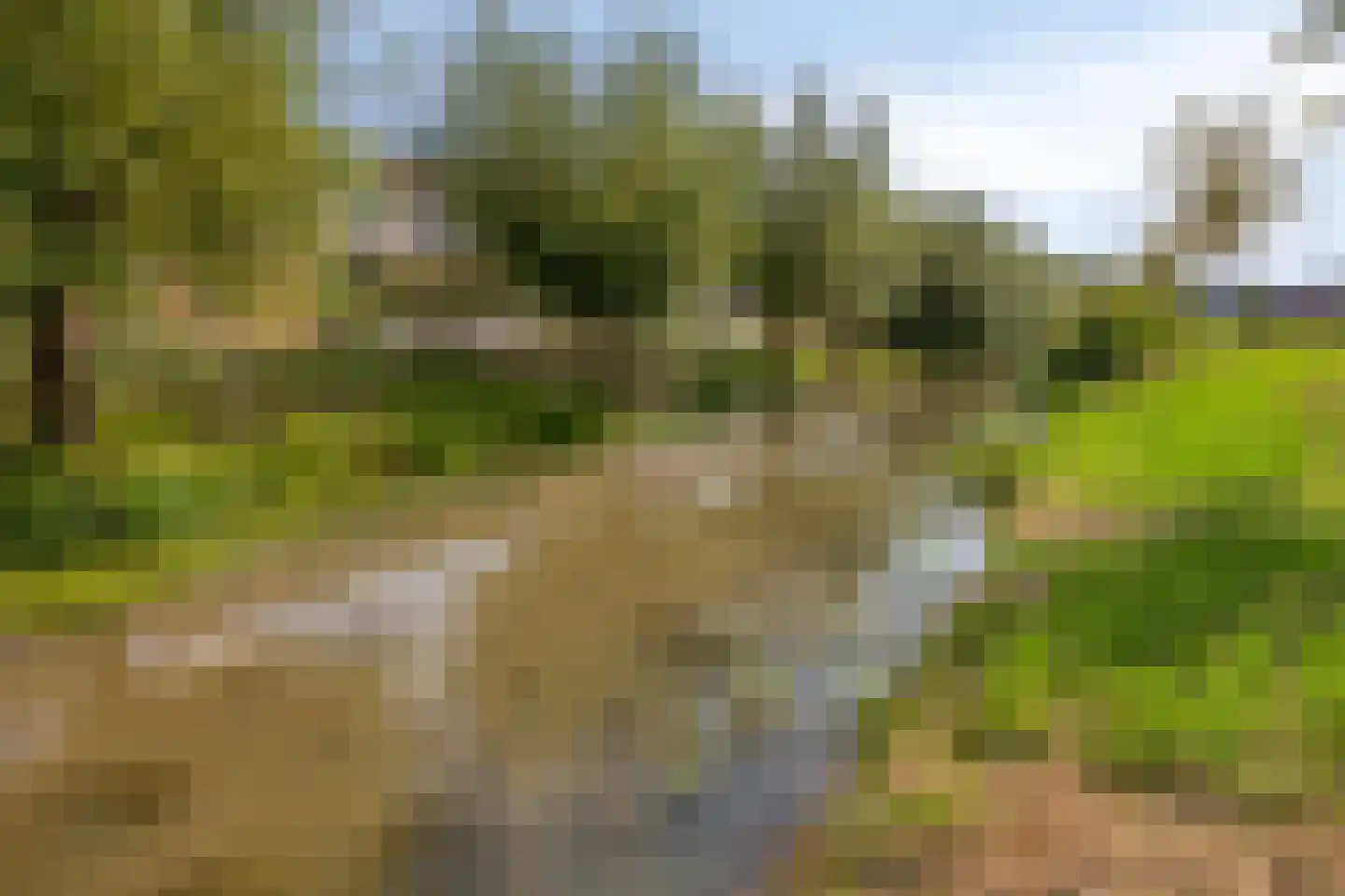 Lange Zantelweg 39 Poortugaal thumbnail 40