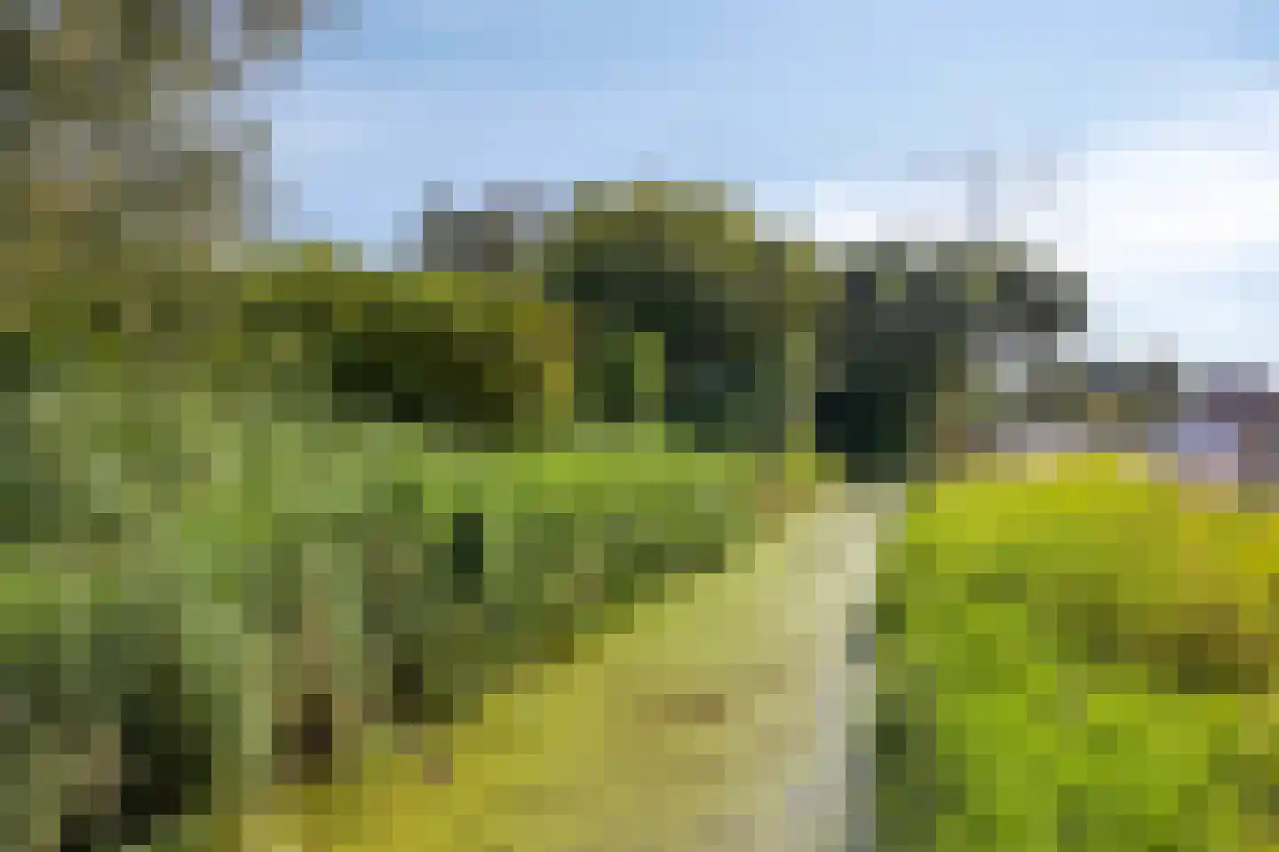 Lange Zantelweg 39 Poortugaal thumbnail 41
