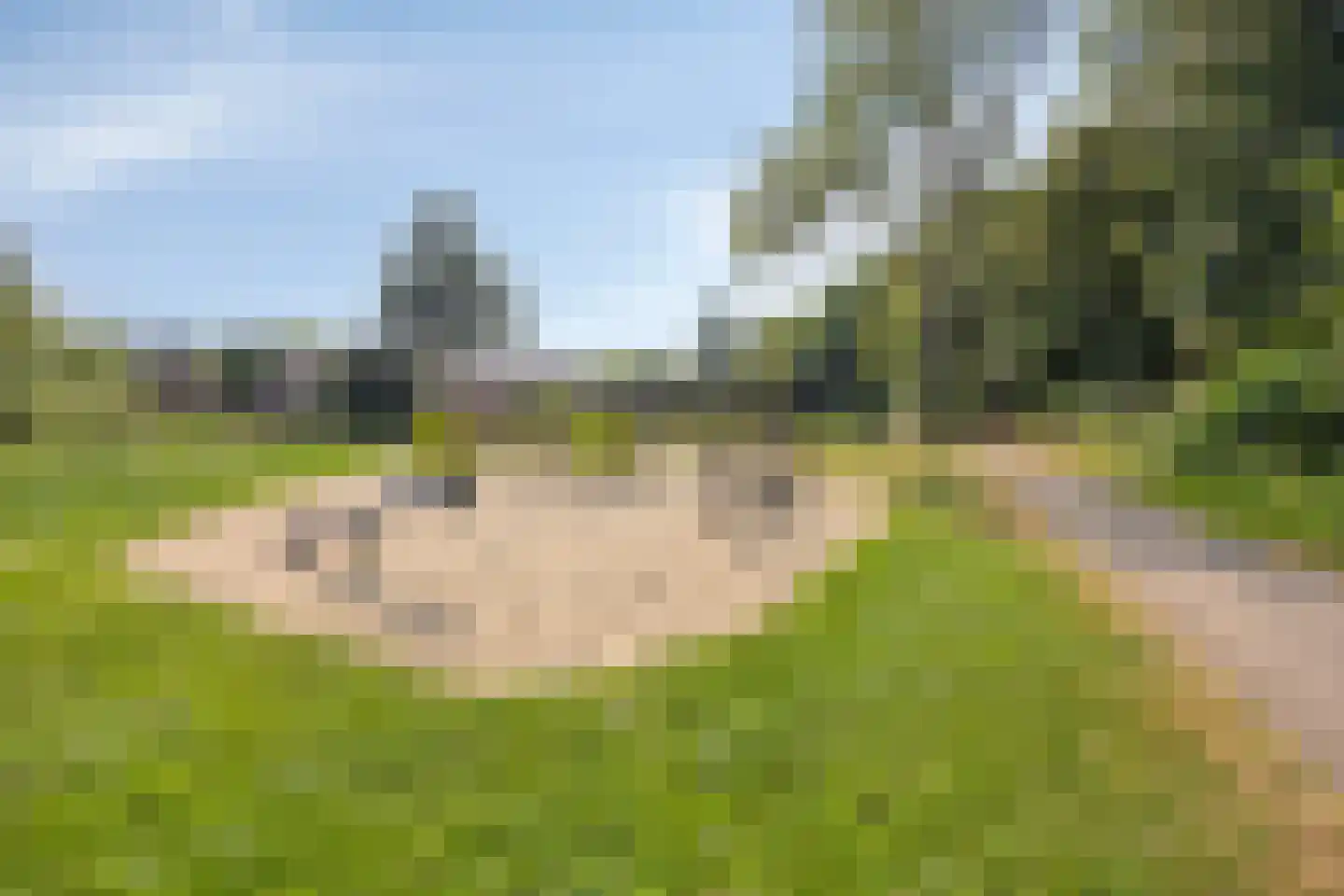 Lange Zantelweg 39 Poortugaal thumbnail 42