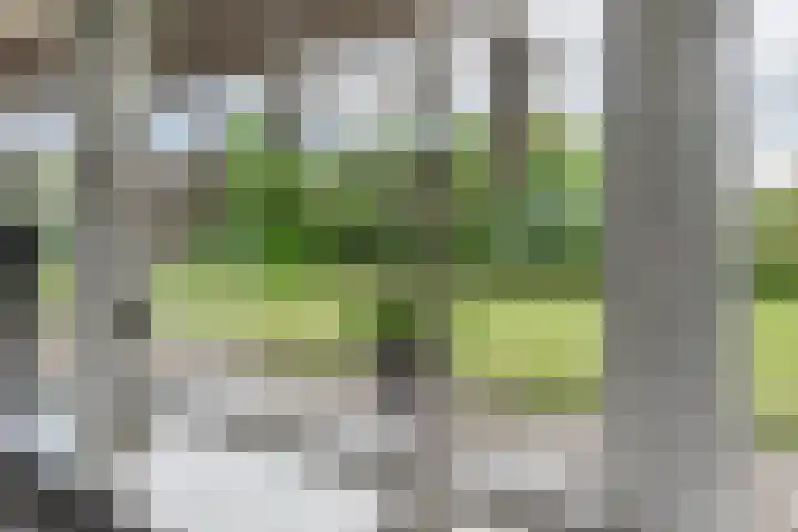 Lange Zuiderweg 118 Voorthuizen thumbnail 17