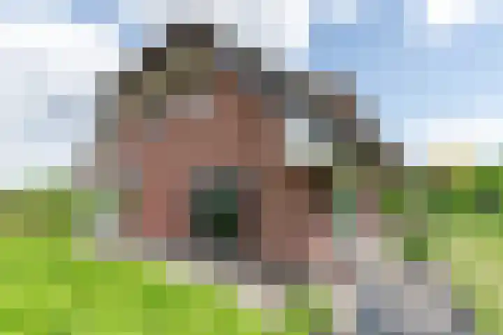 Lange Zuiderweg 118 Voorthuizen thumbnail 44