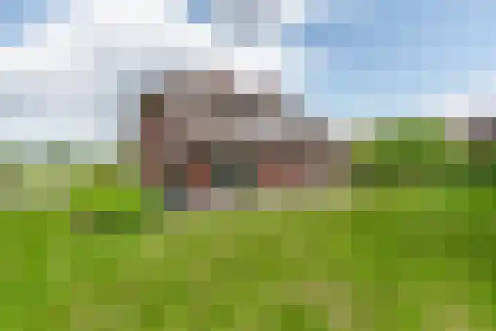 Lange Zuiderweg 118 Voorthuizen thumbnail 47