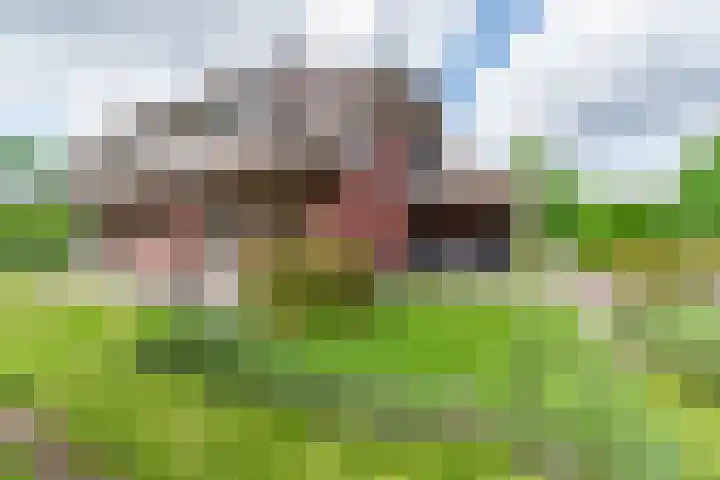 Lange Zuiderweg 118 Voorthuizen thumbnail 48