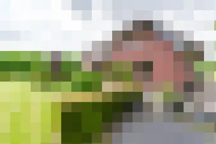Lange Zuiderweg 118 Voorthuizen thumbnail 49