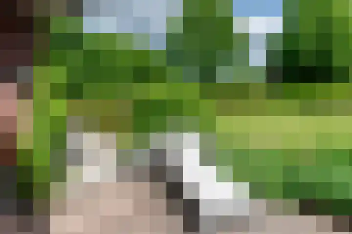 Lange Zuiderweg 118 Voorthuizen thumbnail 50