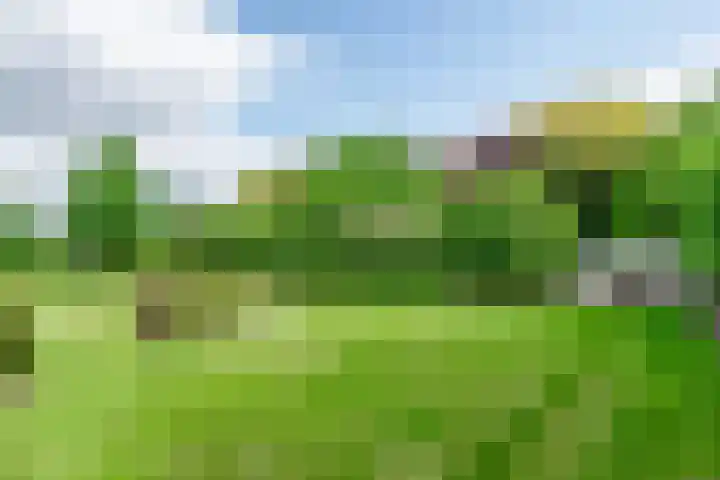 Lange Zuiderweg 118 Voorthuizen thumbnail 51