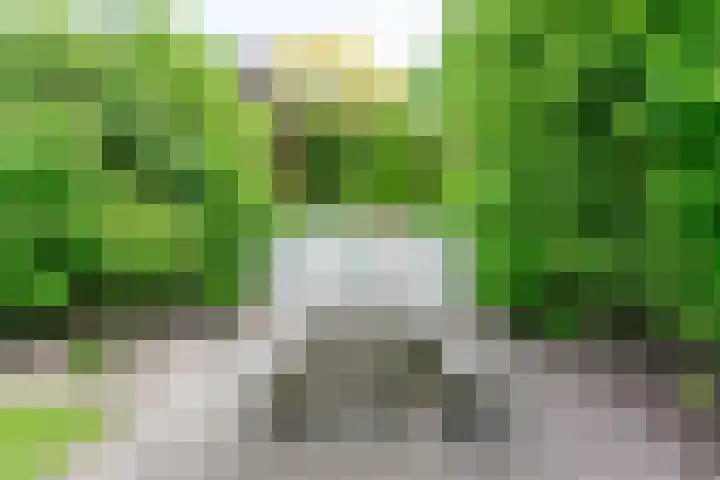 Lange Zuiderweg 118 Voorthuizen thumbnail 52