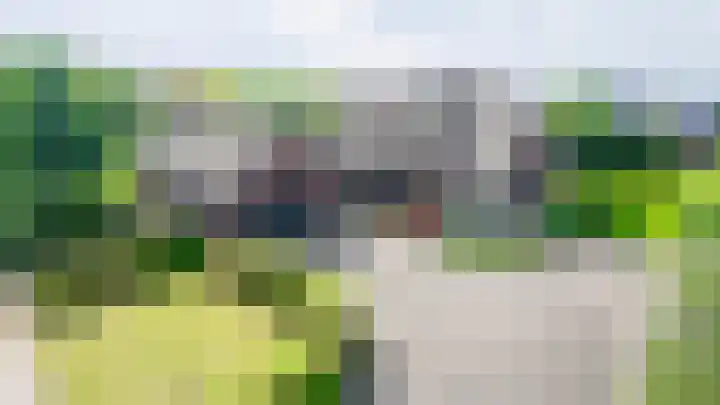 Lange Zuiderweg 118 Voorthuizen thumbnail 60