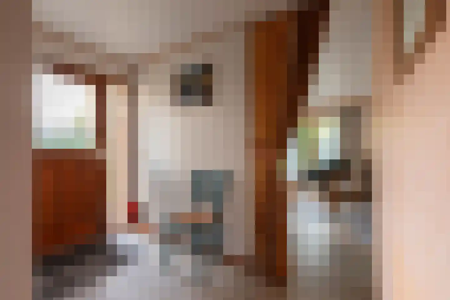 Lange Zuiderweg 126 458 Voorthuizen thumbnail 10