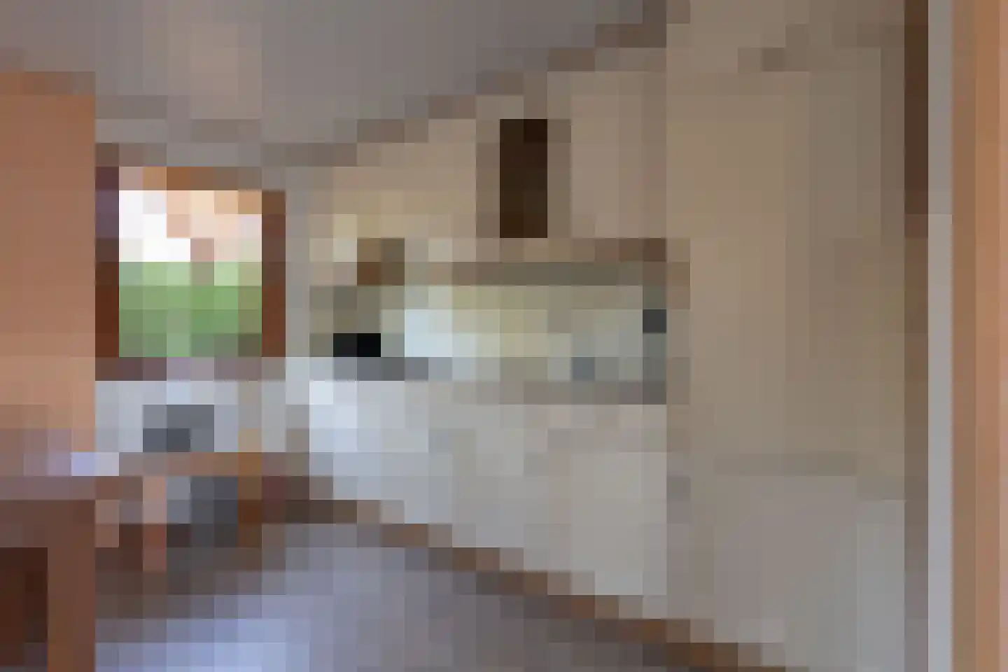 Lange Zuiderweg 126 458 Voorthuizen thumbnail 18