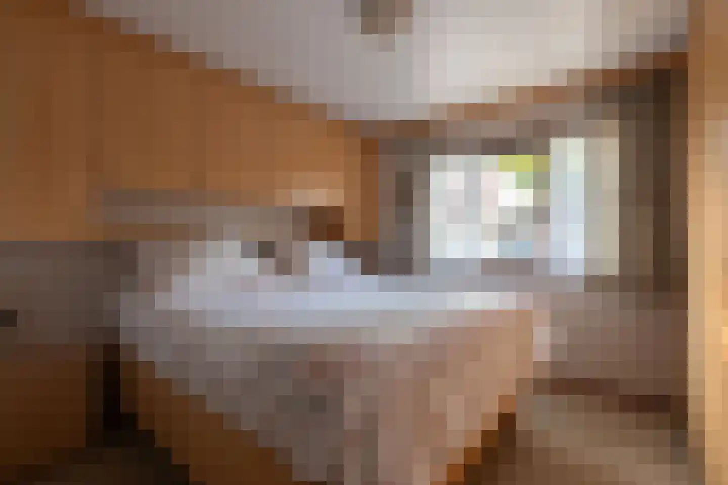 Lange Zuiderweg 126 458 Voorthuizen thumbnail 19