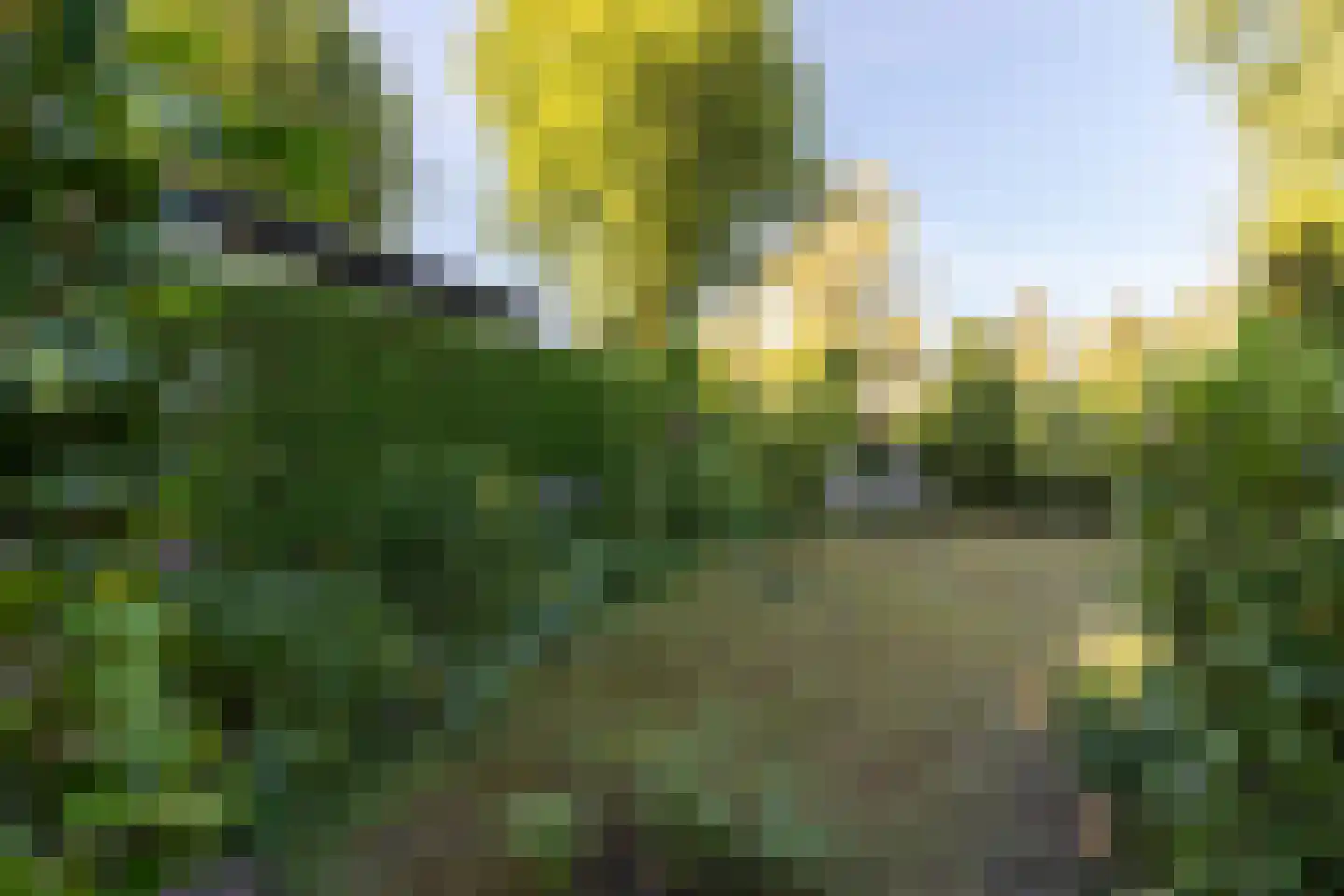 Lange Zuiderweg 126 458 Voorthuizen thumbnail 5