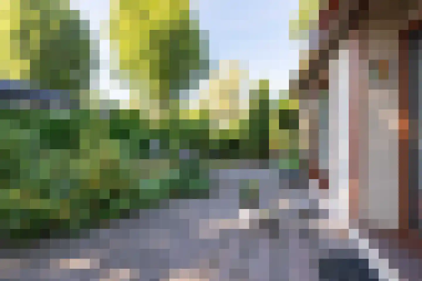 Lange Zuiderweg 126 458 Voorthuizen thumbnail 9