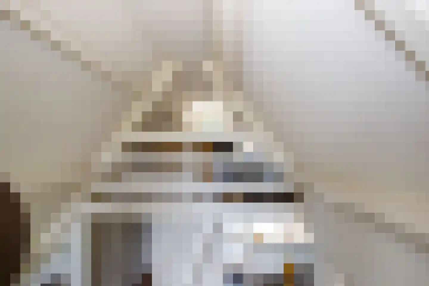 Lange Zuiderweg 134 32 Voorthuizen thumbnail 16