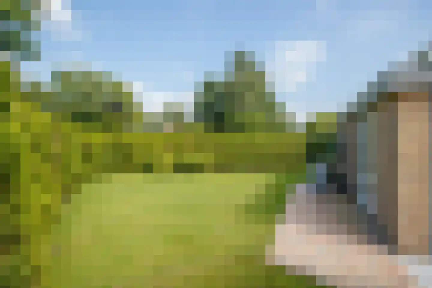 Lange Zuiderweg 134 32 Voorthuizen thumbnail 18