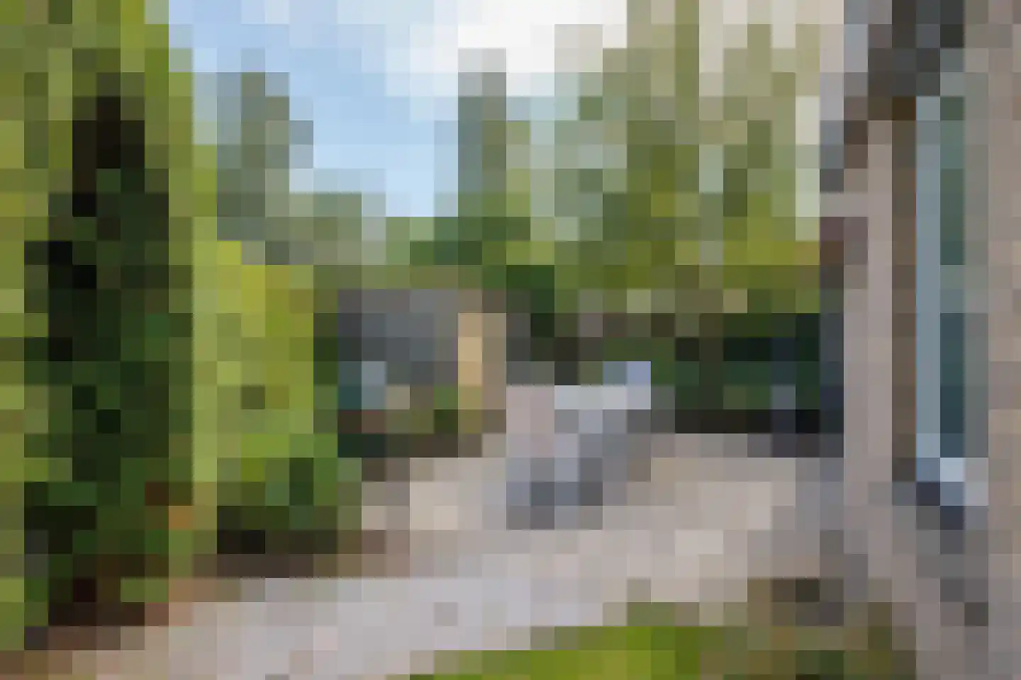 Lange Zuiderweg 134 32 Voorthuizen thumbnail 20