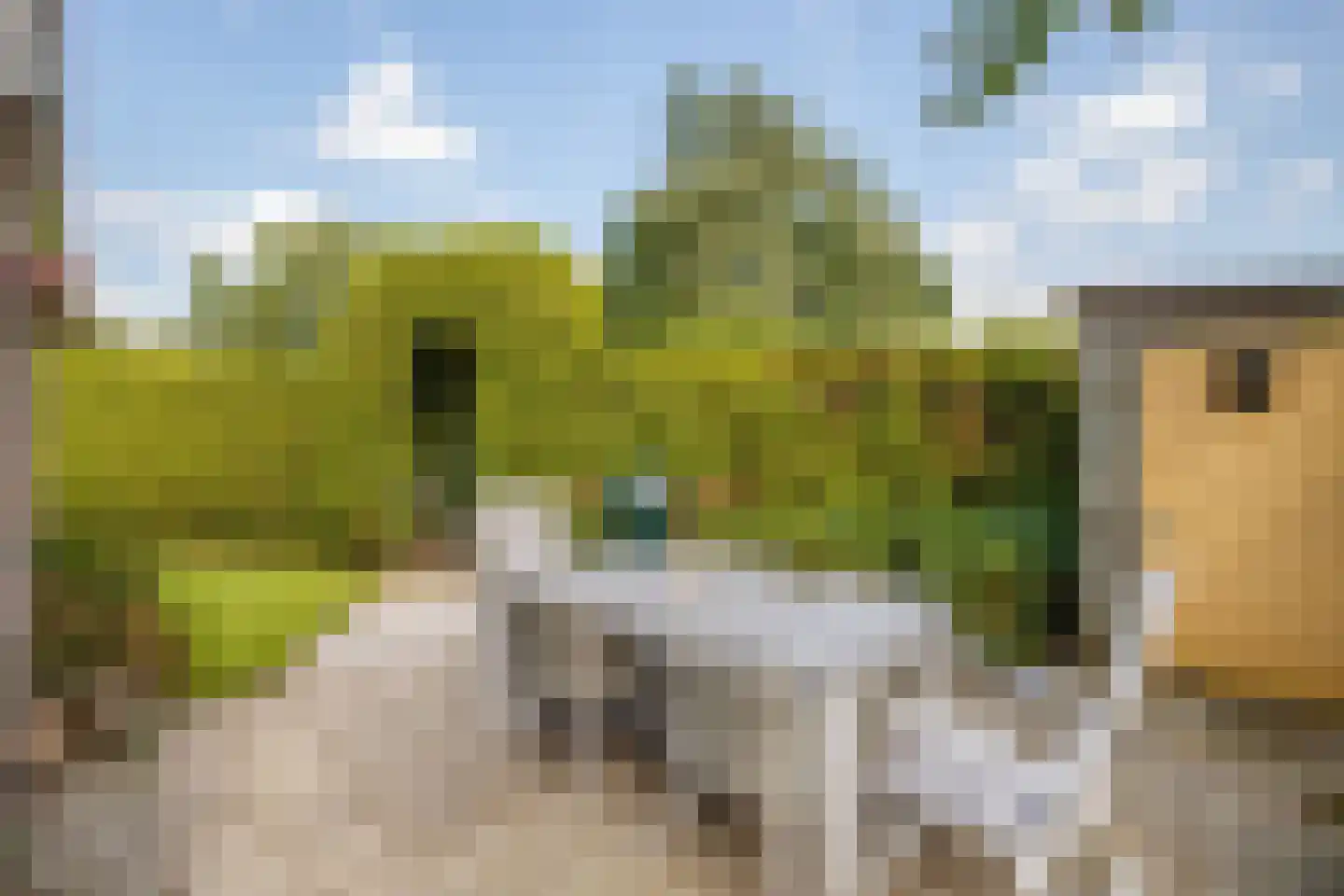 Lange Zuiderweg 134 32 Voorthuizen thumbnail 22