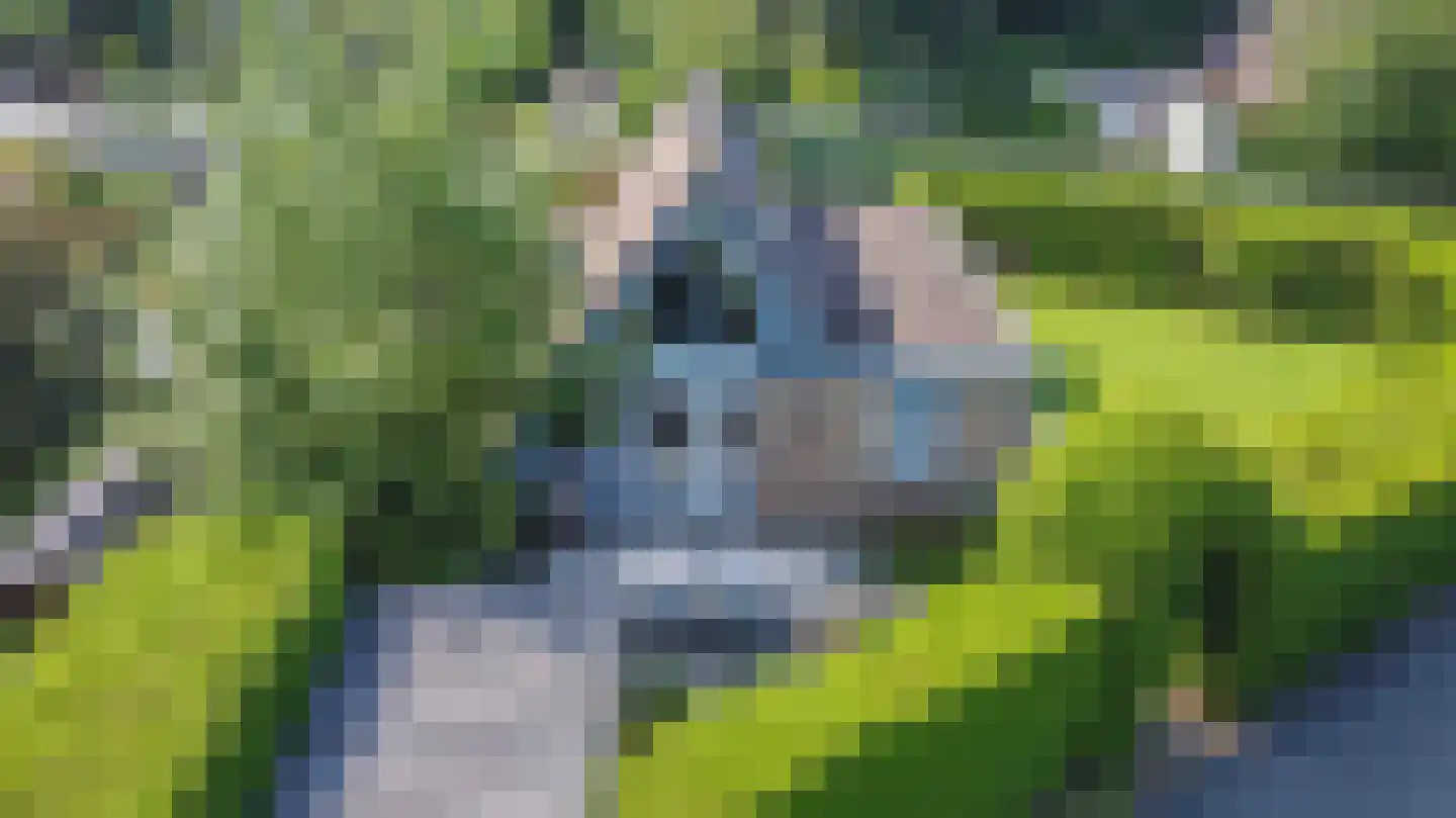 Lange Zuiderweg 134 32 Voorthuizen thumbnail 25
